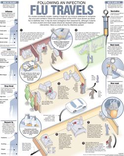 From pigs to pandemic: Mutated swine flu sweeps the nation