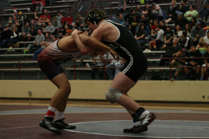 Wrestlers place at state competition