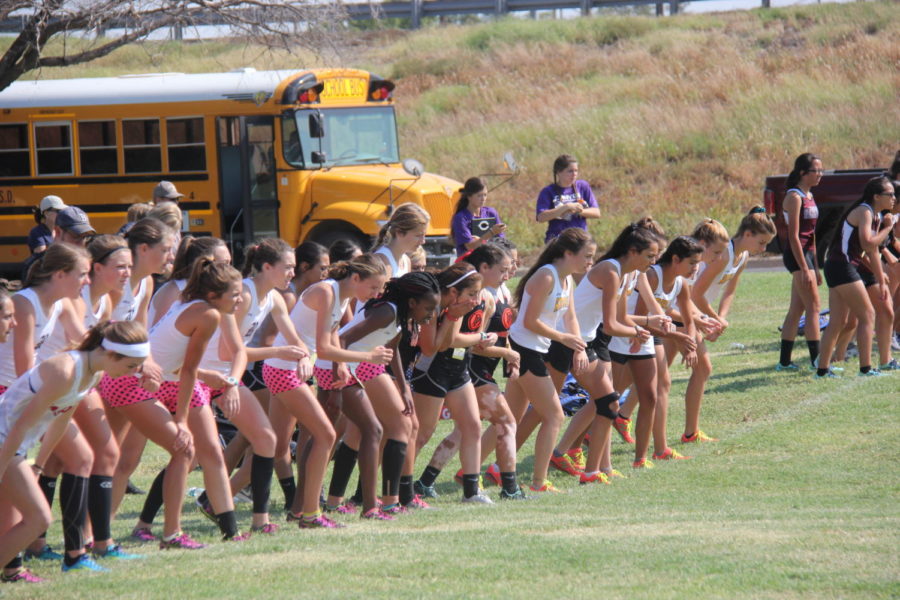 State bound: Cross country teams to compete for title Saturday
