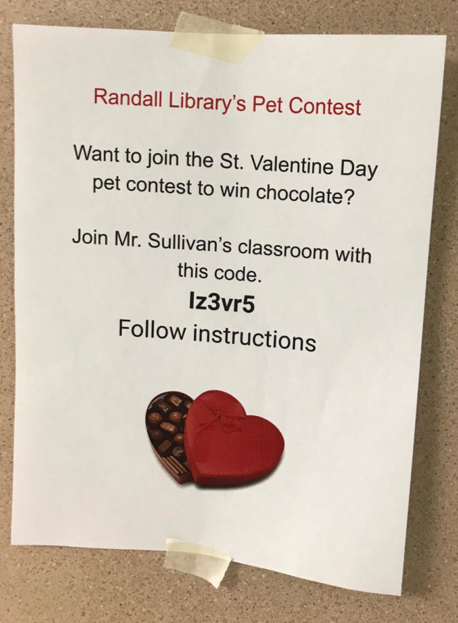 It's a Fuzzy Kind of Love; Pet competition winners to be announced Valentine's Day