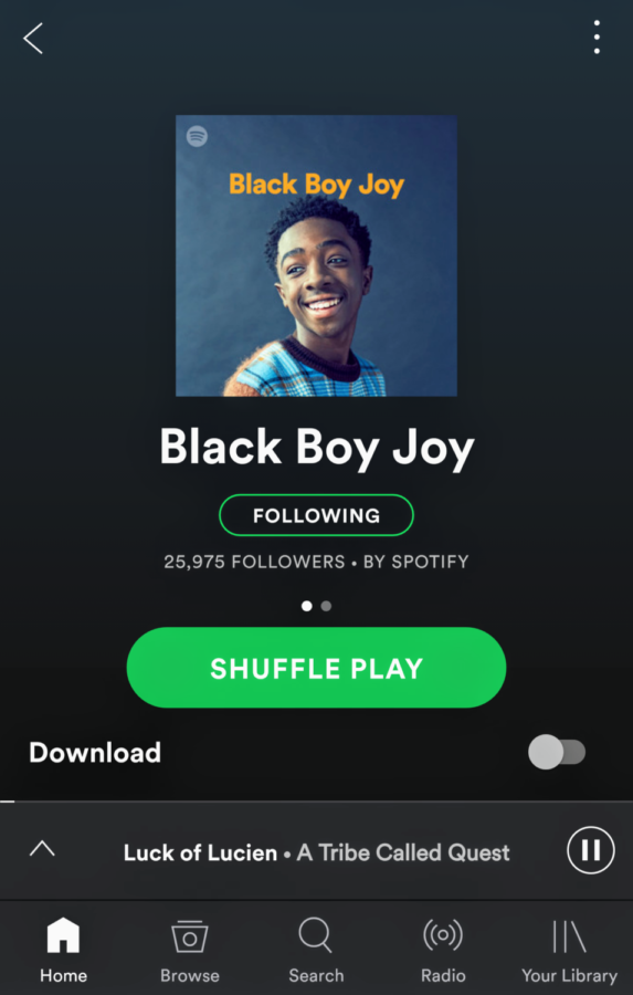 Stranger Things Actor Curates an Entire Playlist on Spotify